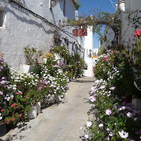 וחר דה לה פרונטרה Vivienda Turistica De Alojamiento Rural Silla Vieja מראה חיצוני תמונה