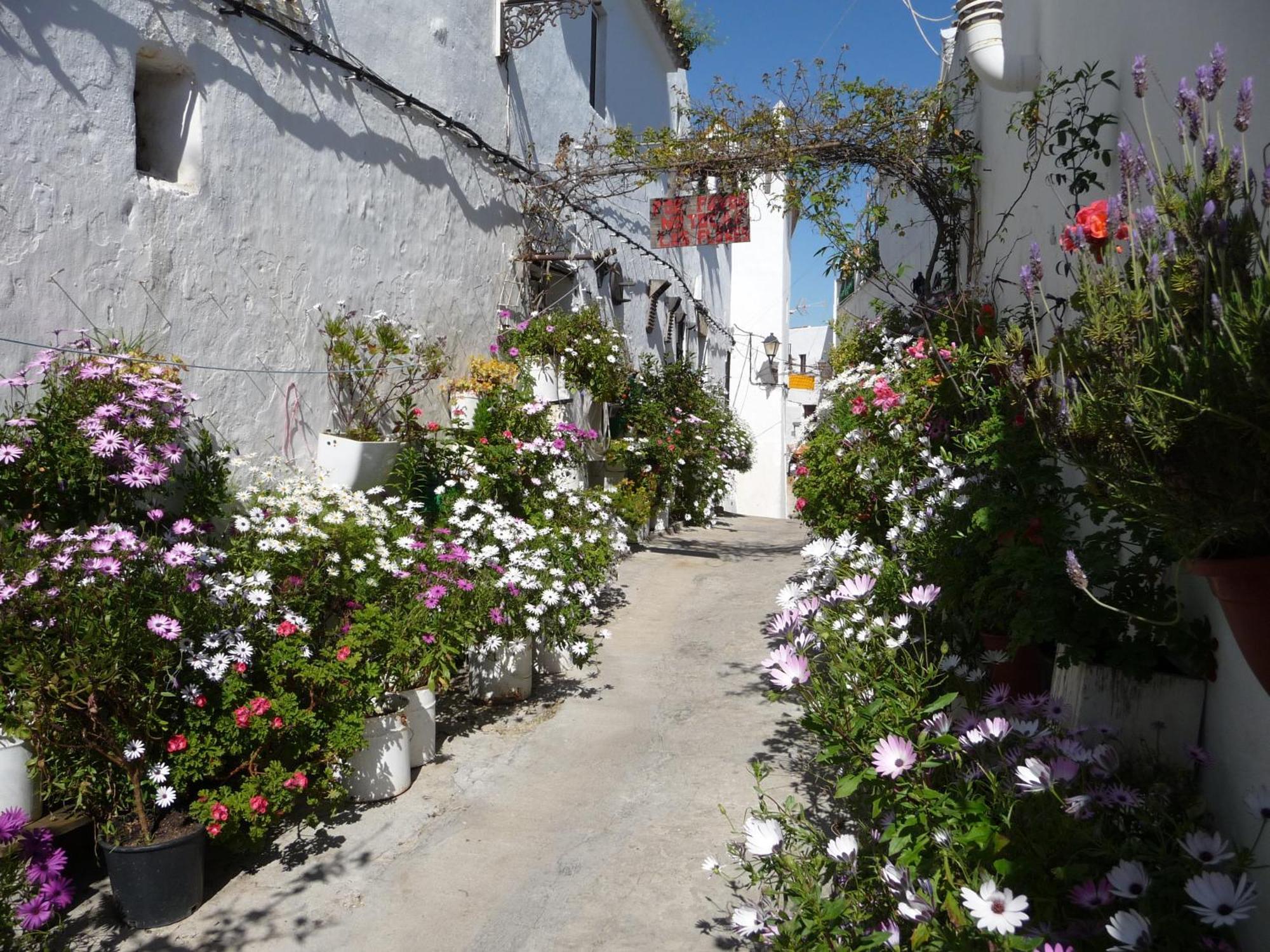וחר דה לה פרונטרה Vivienda Turistica De Alojamiento Rural Silla Vieja מראה חיצוני תמונה