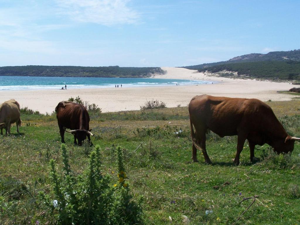 וחר דה לה פרונטרה Vivienda Turistica De Alojamiento Rural Silla Vieja מראה חיצוני תמונה