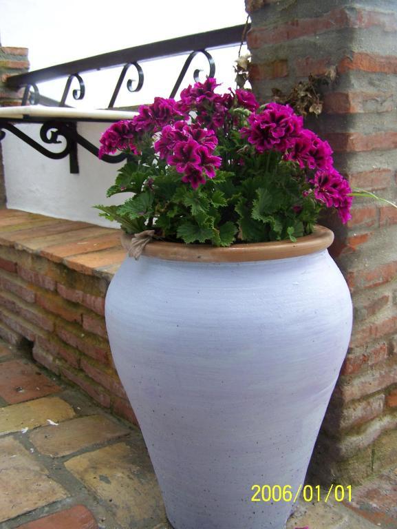 וחר דה לה פרונטרה Vivienda Turistica De Alojamiento Rural Silla Vieja מראה חיצוני תמונה